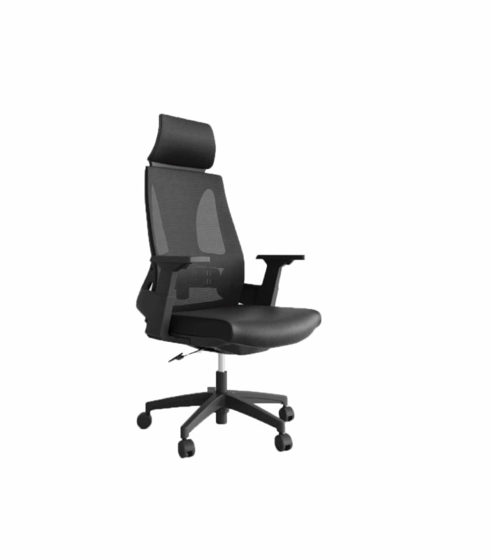 Executive office Chair -DEOCAS-002