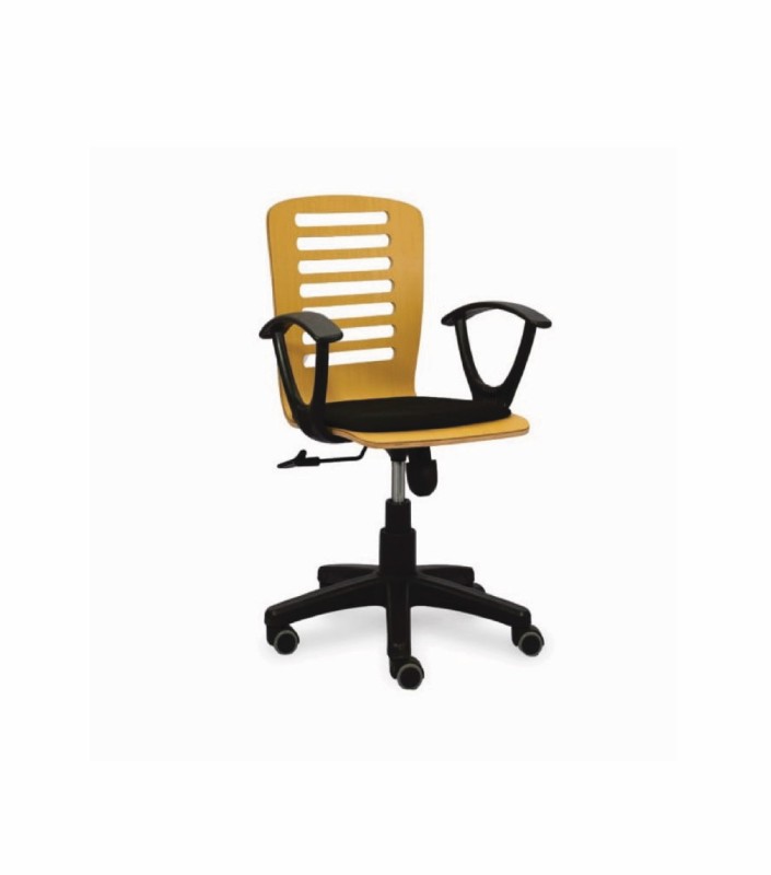 Low Back Executive Chair