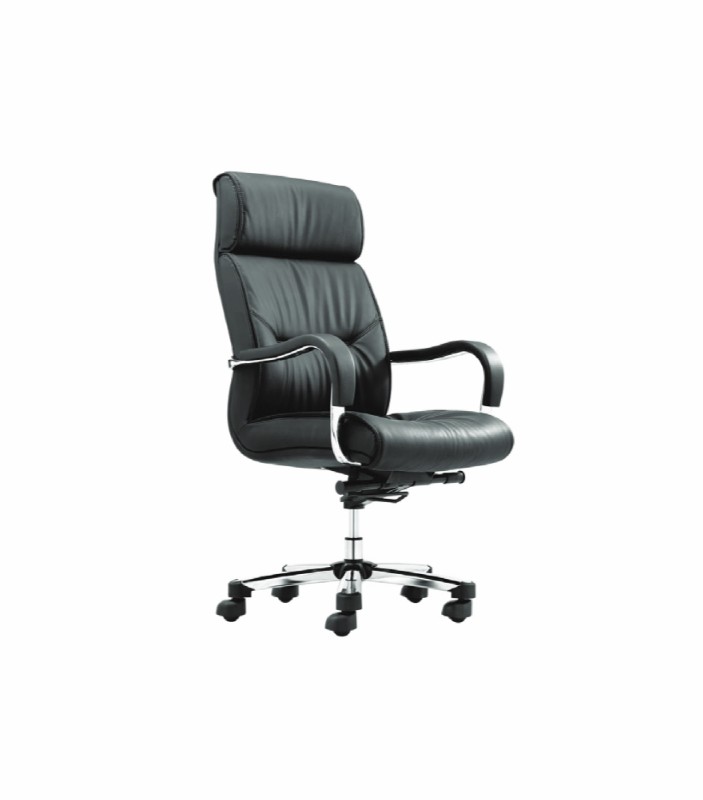 Office Director Chair (CM-F55AS)