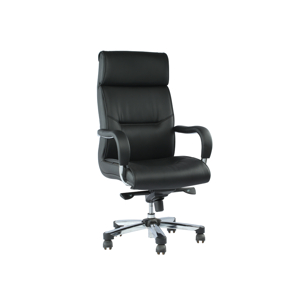 Director Chair-DDC010